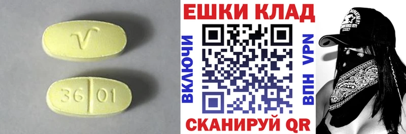 ЭКСТАЗИ Philipp Plein  Петровск 