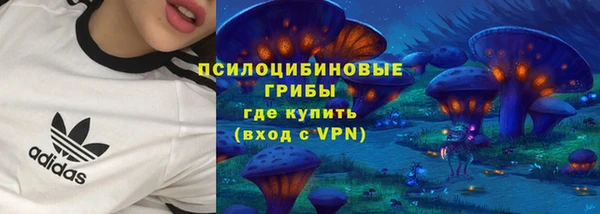 кокс Баксан