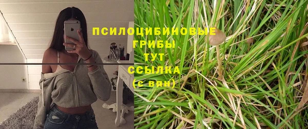 спайс Алзамай