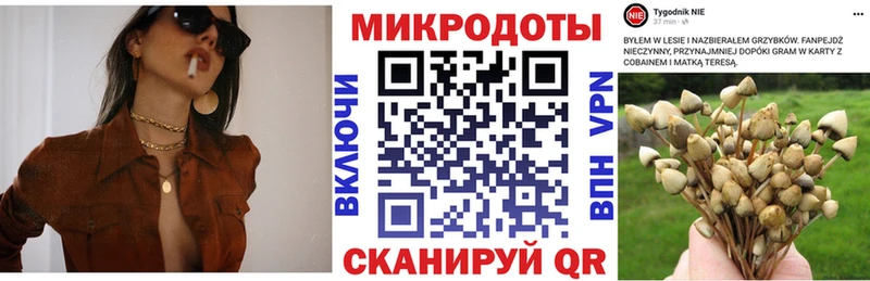 магазин  наркотиков  Петровск  Галлюциногенные грибы прущие грибы 